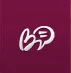 bonga cams logo